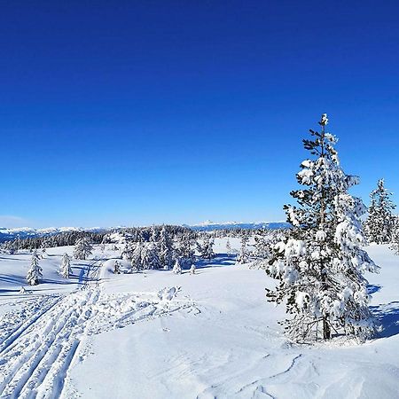 Bakka Villa Hovin Buitenkant foto